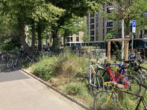 Bild des Spots