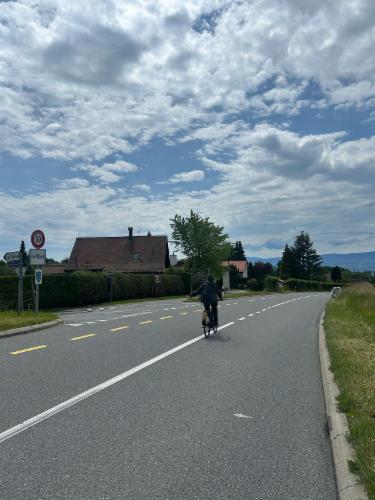 Bild des Spots