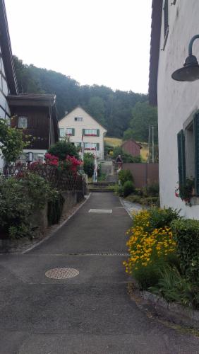 image of the spot