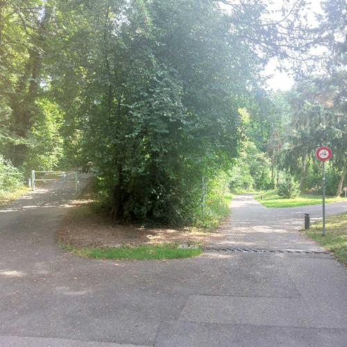 Bild des Spots
