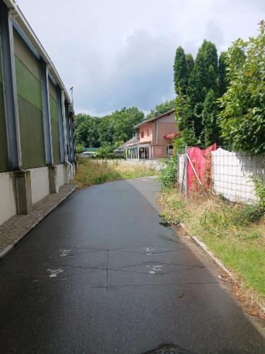 Bild des Spots