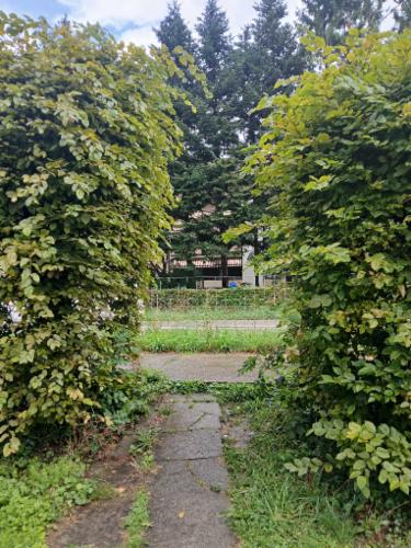 Bild des Spots