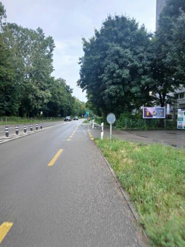 Bild des Spots