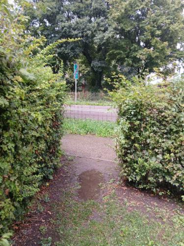Bild des Spots