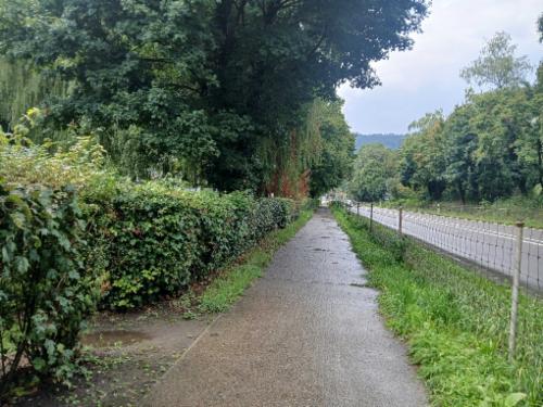 Bild des Spots