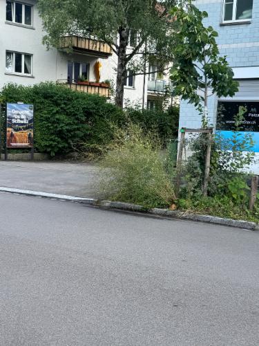 Bild des Spots
