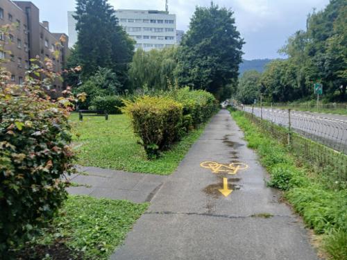 Bild des Spots