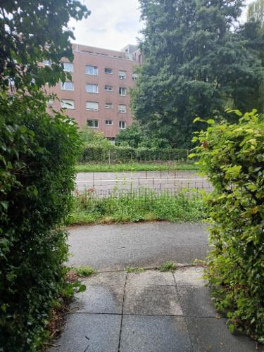 Bild des Spots