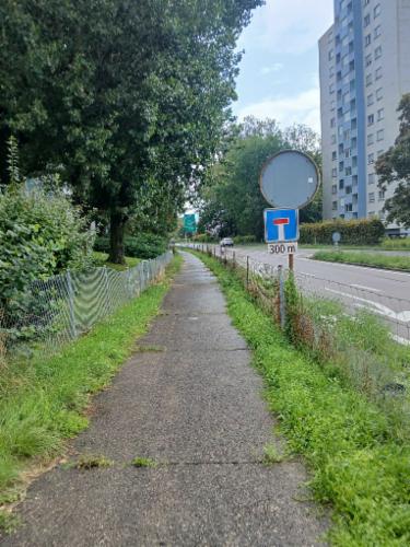 Bild des Spots