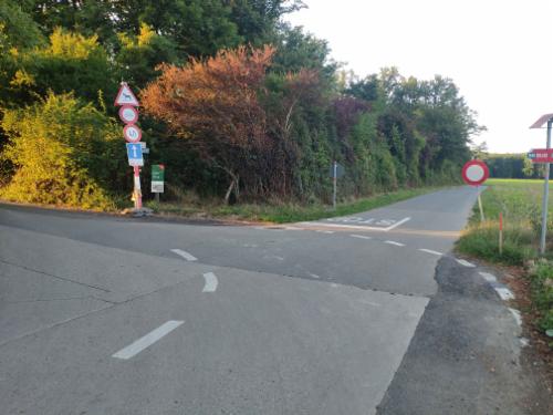 Bild des Spots