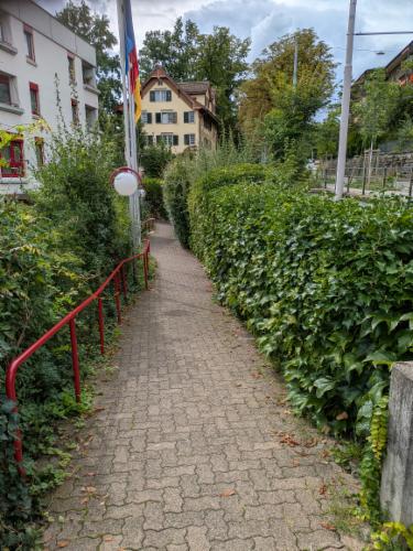 Bild des Spots