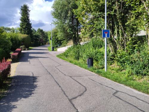 Bild des Spots