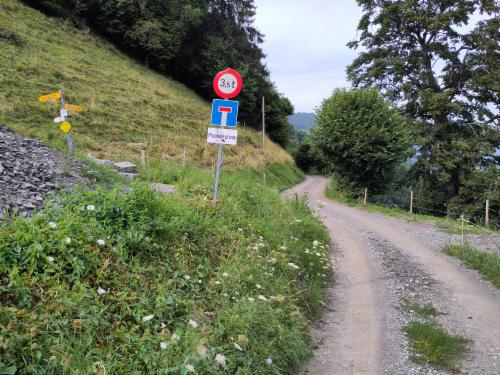 Bild des Spots