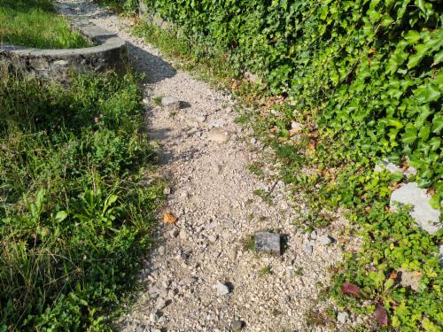 Bild des Spots