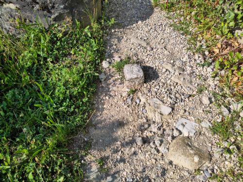 Bild des Spots