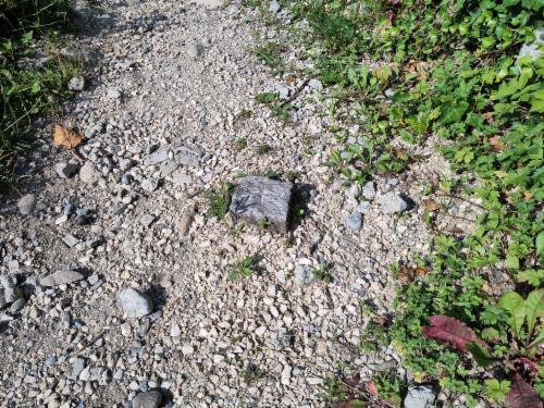 Bild des Spots