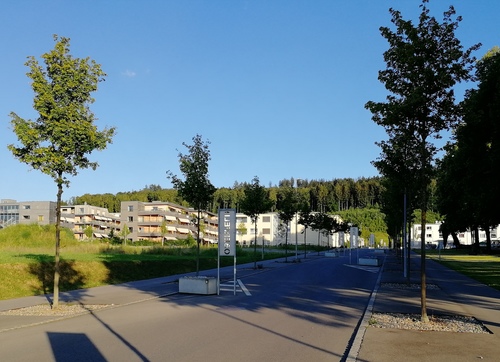 Bild des Spots
